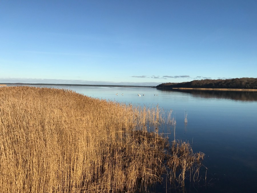 Der Bodden im Winter bei Gut Grubnow, ideal Ort zum Angeln