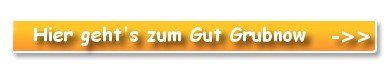 gut-grubnow